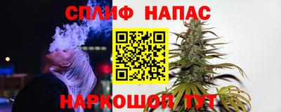 гидра Камышлов