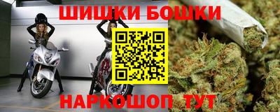 гидра Камышлов