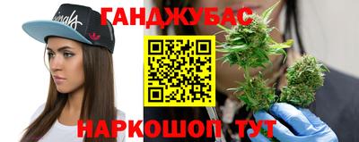 гидра Камышлов