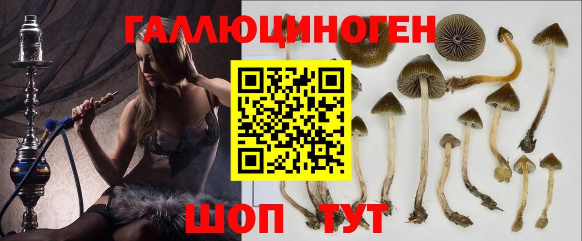 Псилоцибиновые грибы ЛСД Новоуральск